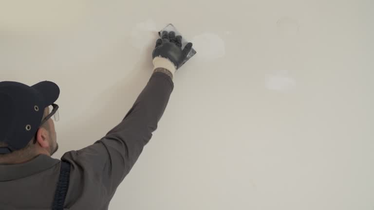 Best Pressure Washing and Painting Preparation  in Olivet, MI